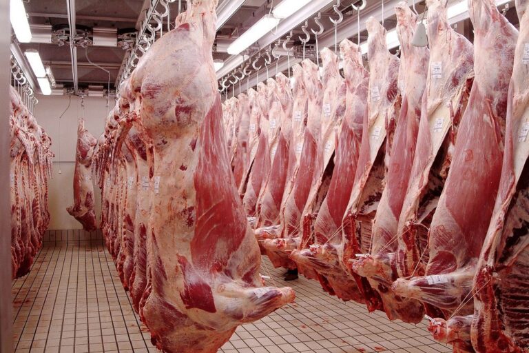 fleisch