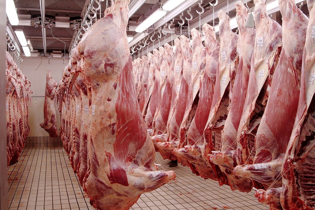 fleisch